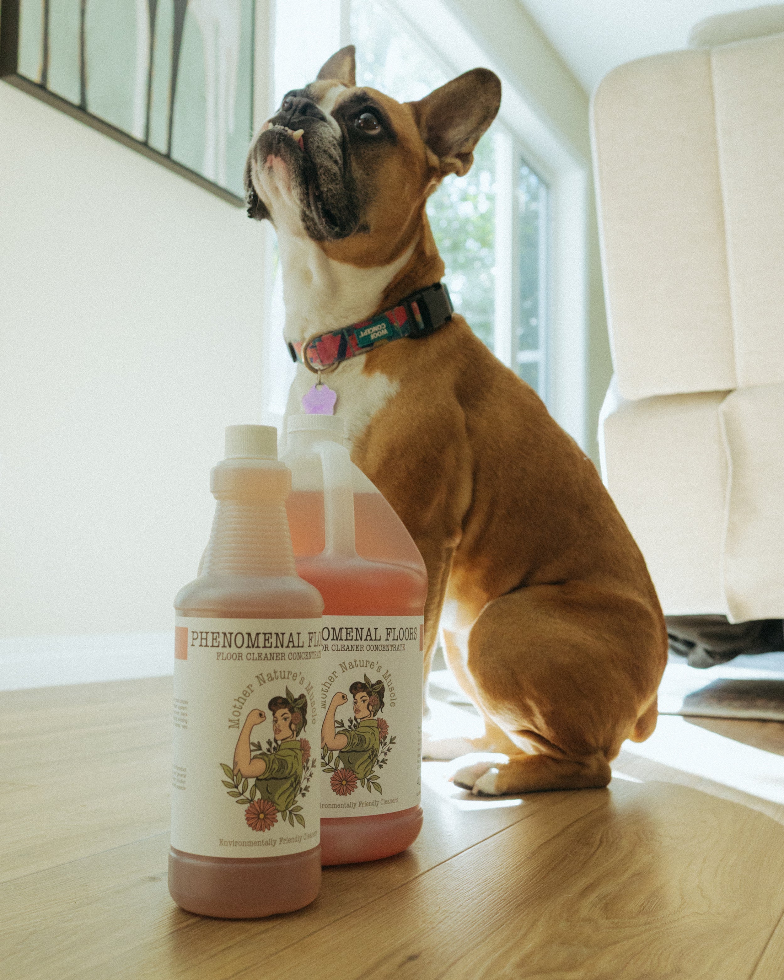 Phenomenal Floors - Neutral Floor Cleaner Concentrate - 1 litre
