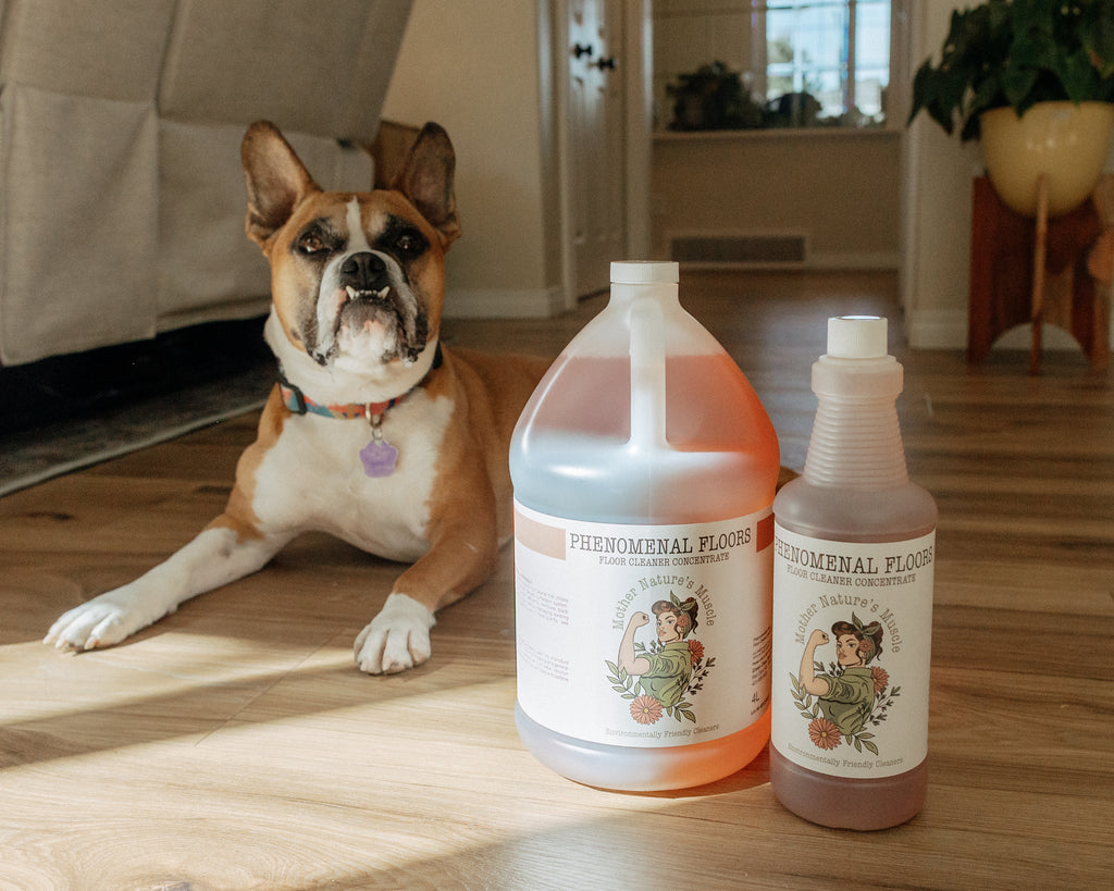 Phenomenal Floors - Neutral Floor Cleaner Concentrate - 4 Litre