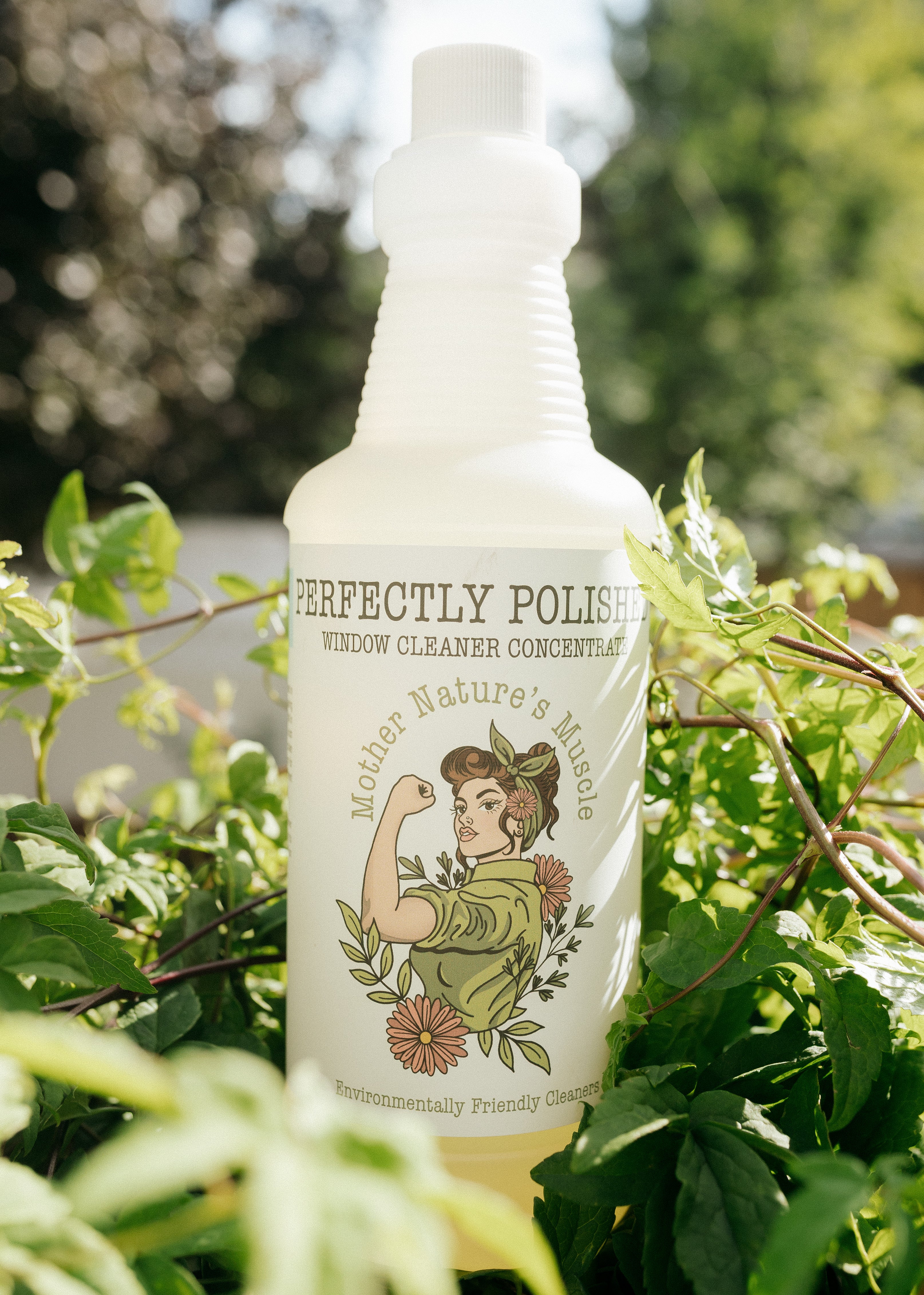 Perfectly Polished - Window Cleaner Concentrate - 4 Litre